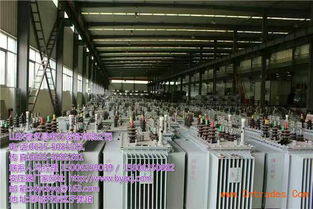 南京變壓器集團(tuán)——卓越技術(shù)服務(wù)，共創(chuàng)能源未來(lái)